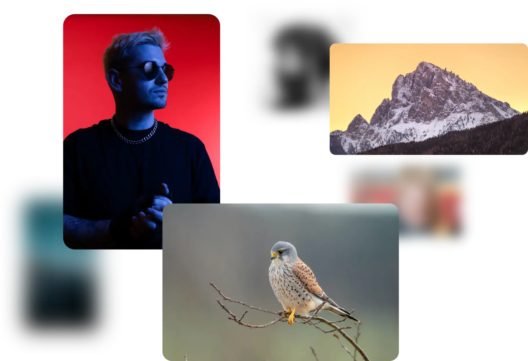 Background removal feature